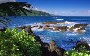 rotsen voor de kust | Maui